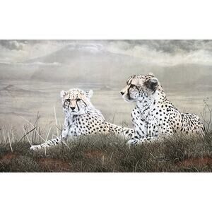 1983 Charles Fracé “A Moment’s Rest, Cheetah” Signed Large Print w/COA 32”X24”